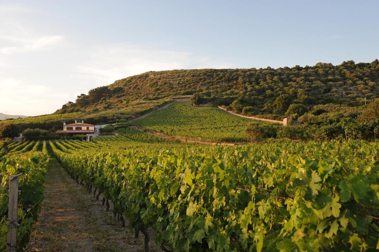Casa Nel Vigneto Con Vista Mare Appartement Magomadas Buitenkant foto